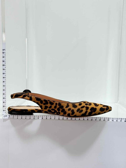 Pre - loved GIANVITO ROSSI Beige & Brown Leopard Size EU 35.5 Flats at Reems Closet