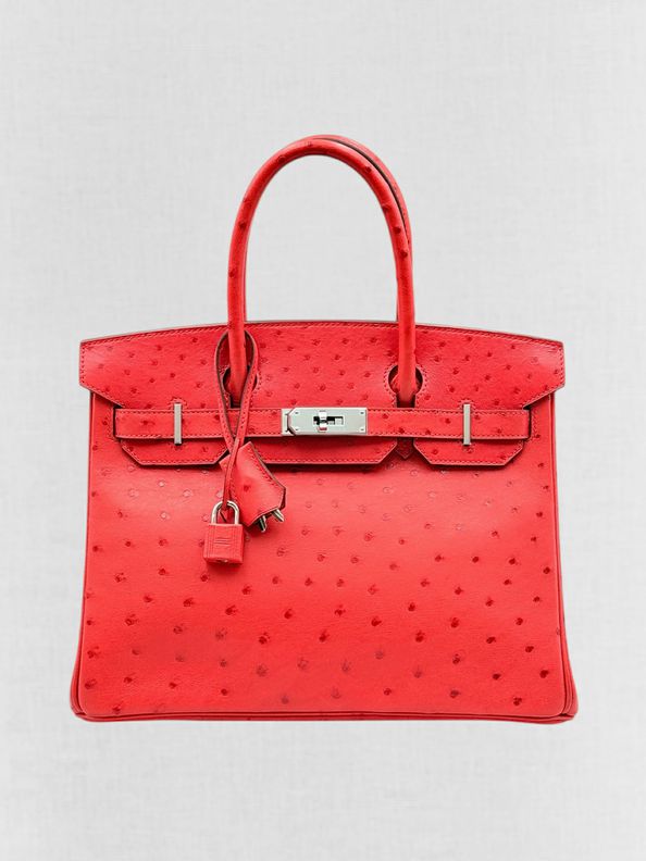 HERMES Birkin Red Top Handle