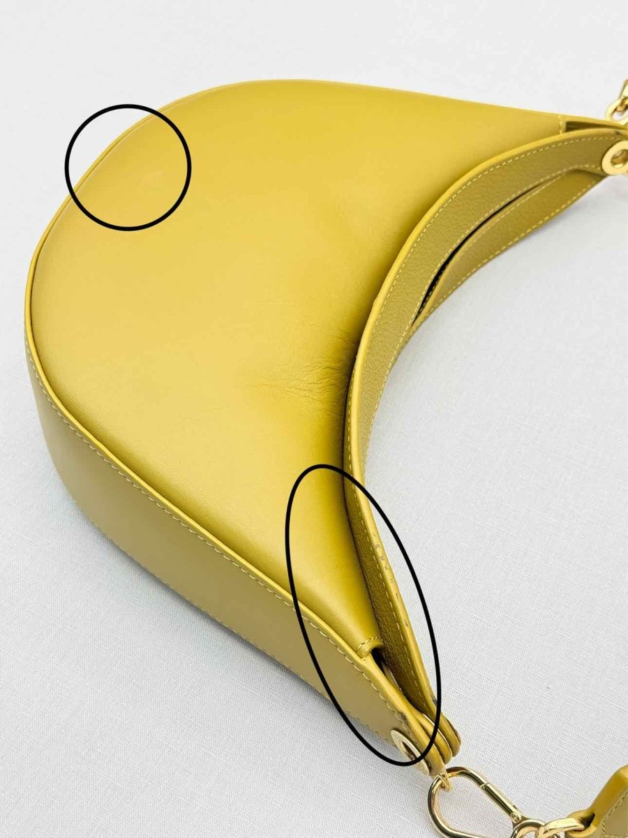 Pre - loved LOEWE Luna Olive Green Hobo bag at Reems Closet