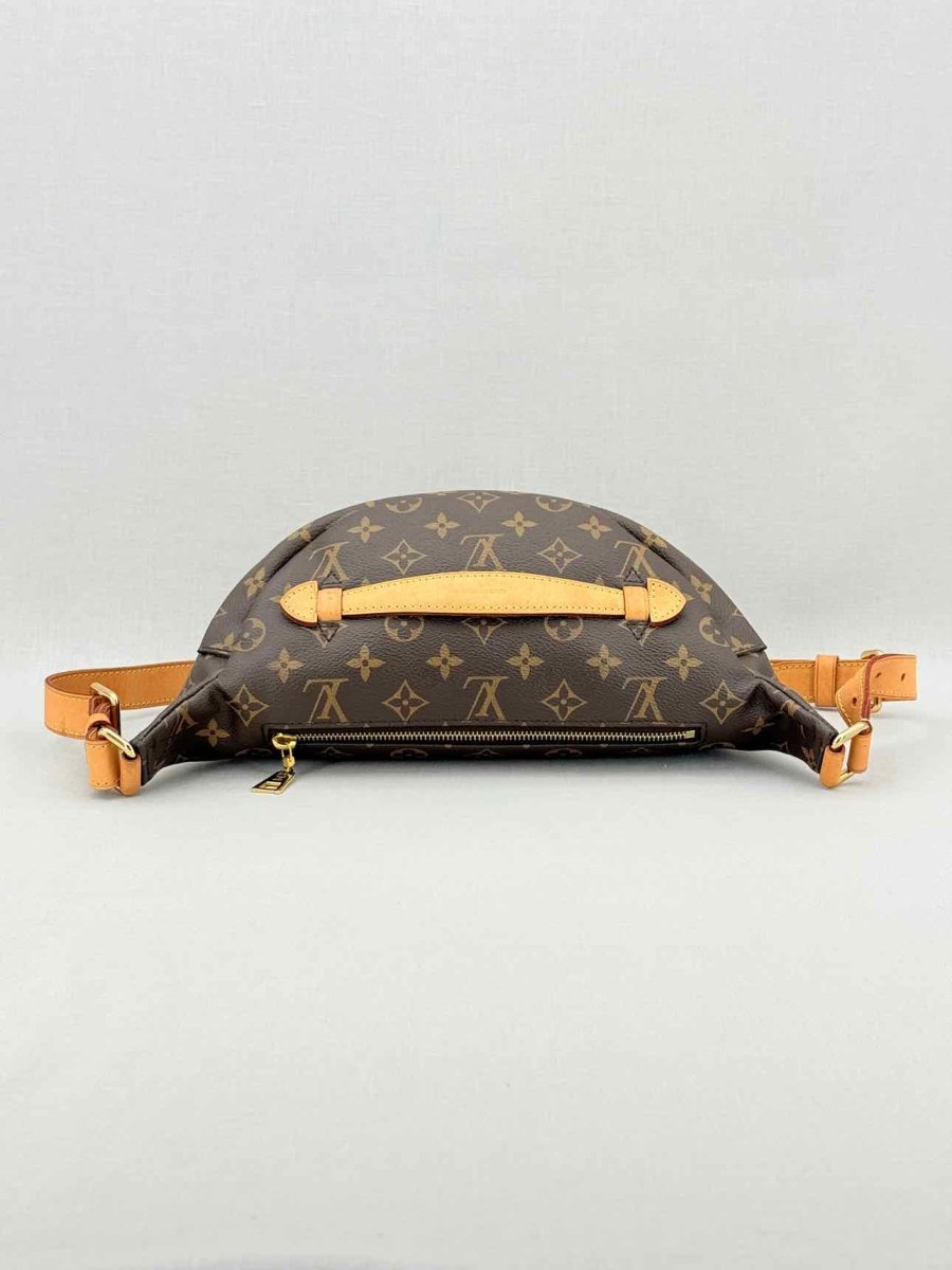 Pre - loved LOUIS VUITTON Brown Monogram Belt Bag at Reems Closet