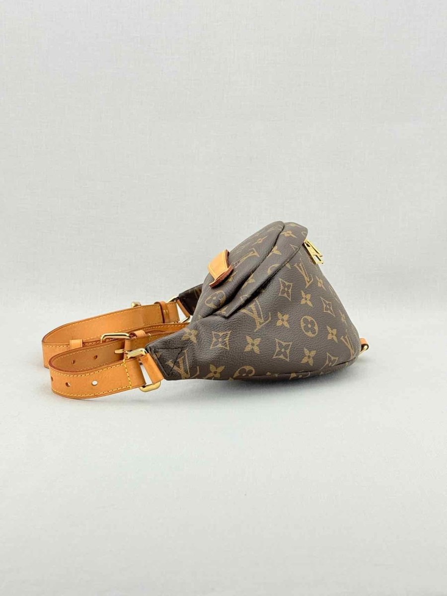Pre - loved LOUIS VUITTON Brown Monogram Belt Bag at Reems Closet