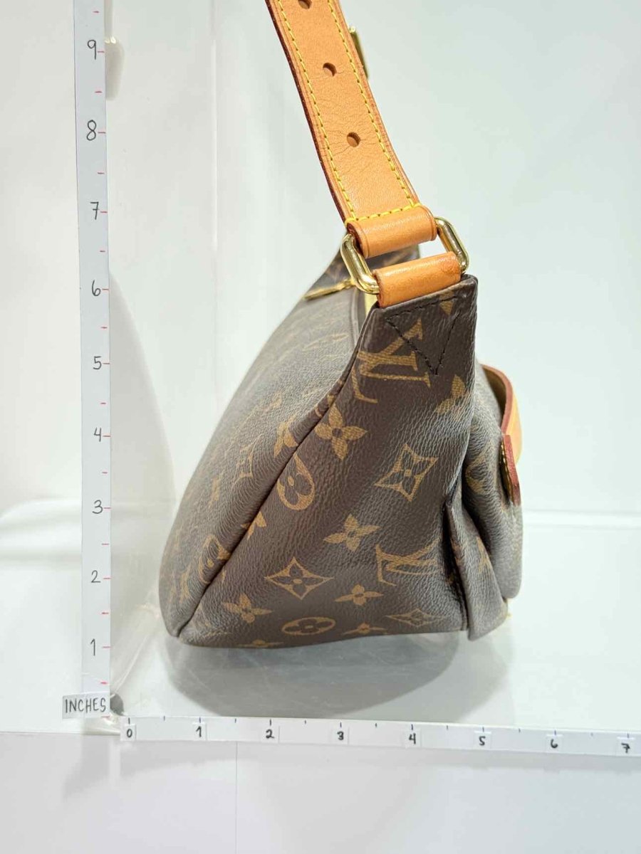 Pre - loved LOUIS VUITTON Brown Monogram Belt Bag at Reems Closet