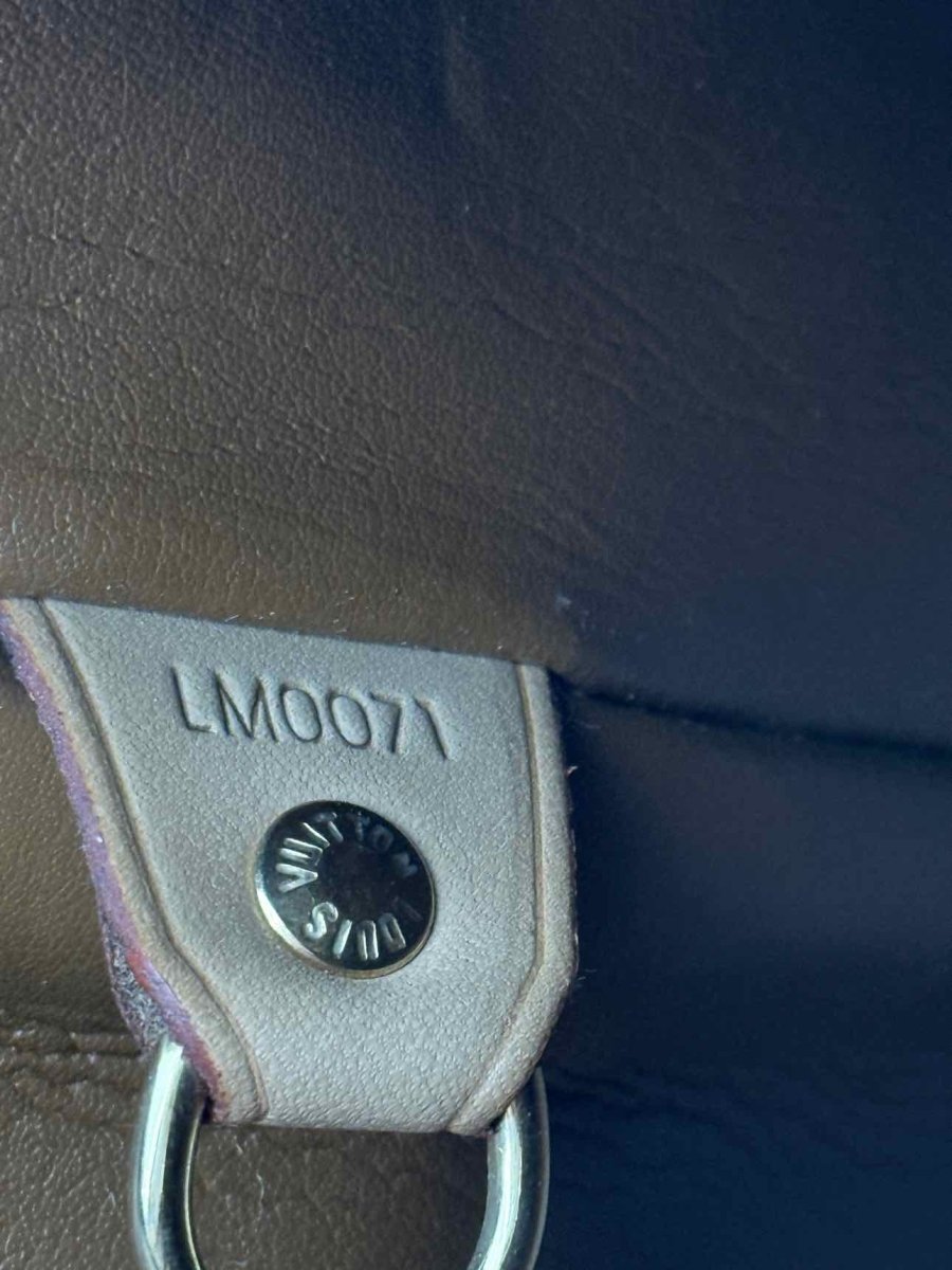 Pre - loved LOUIS VUITTON Houston Bronze Tote Bag at Reems Closet