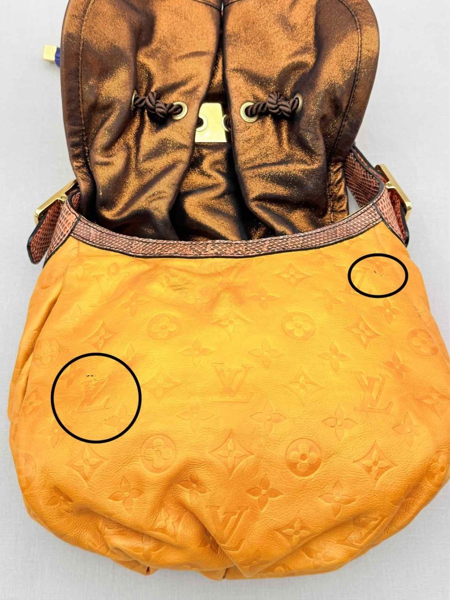 Pre - loved LOUIS VUITTON Kalahari Mustard Hobo bag at Reems Closet