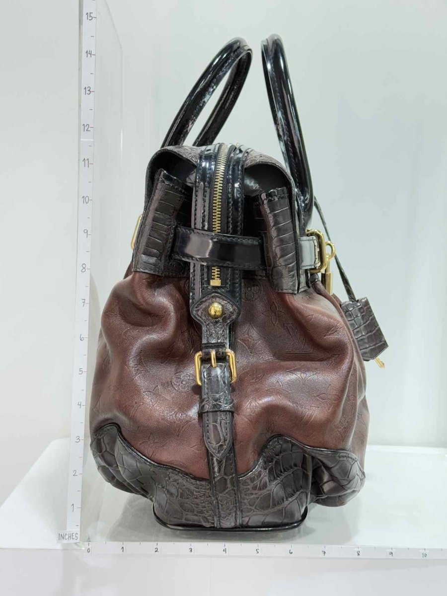 Pre - loved LOUIS VUITTON Limited Edition Brown & Black Top Handle at Reems Closet