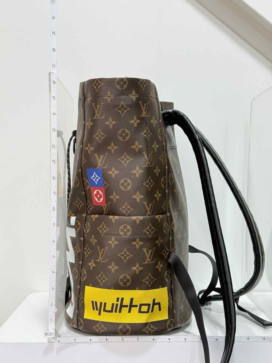Pre - loved LOUIS VUITTON Limited Edition Brown Multicolor Backpack at Reems Closet