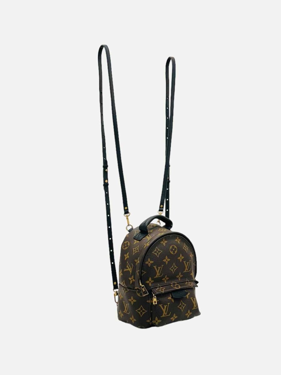 Pre - loved LOUIS VUITTON Palm Springs Brown Monogram Backpack at Reems Closet