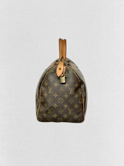 Pre - loved LOUIS VUITTON Speedy 30 Brown Monogram Top Handle at Reems Closet