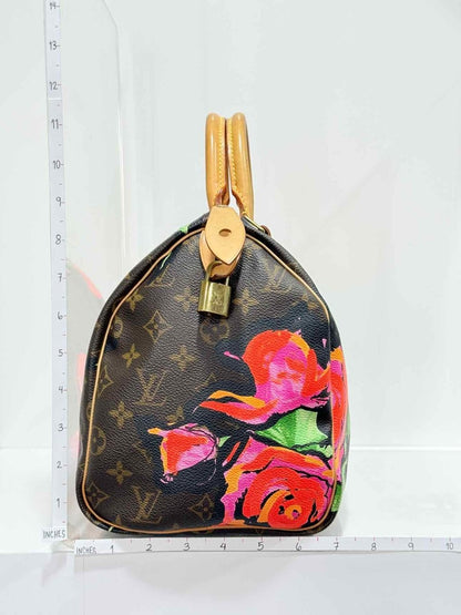 Pre - loved LOUIS VUITTON Speedy 30 Brown Multicolor Top Handle at Reems Closet
