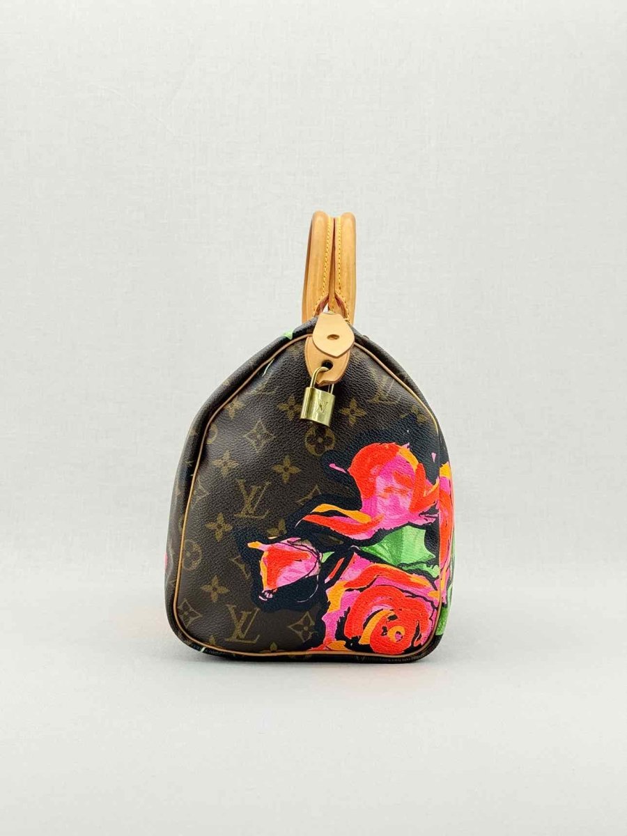 Pre - loved LOUIS VUITTON Speedy 30 Brown Multicolor Top Handle at Reems Closet