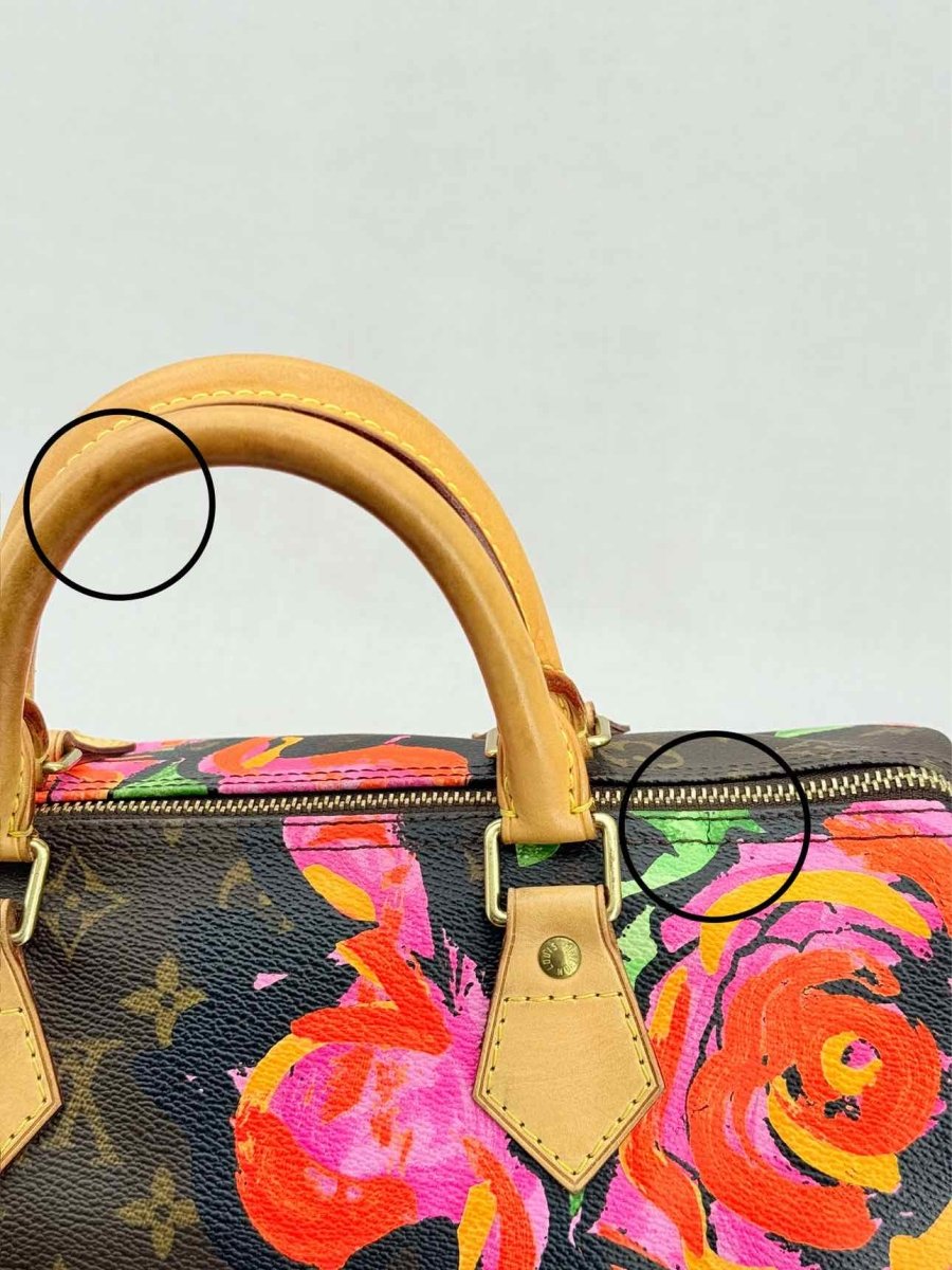 Pre - loved LOUIS VUITTON Speedy 30 Brown Multicolor Top Handle at Reems Closet