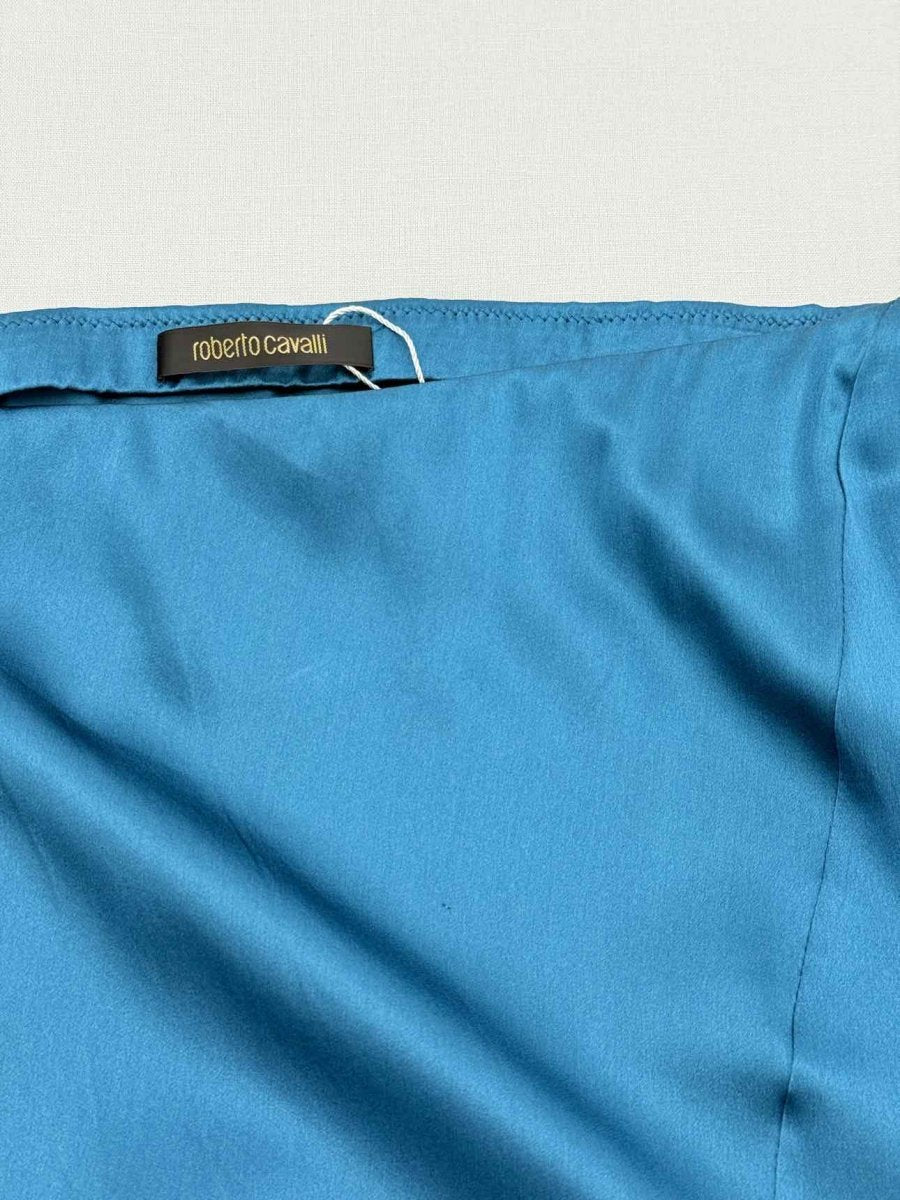 Pre - loved ROBERTO CAVALLI Blue Size US 6 Long Skirt at Reems Closet