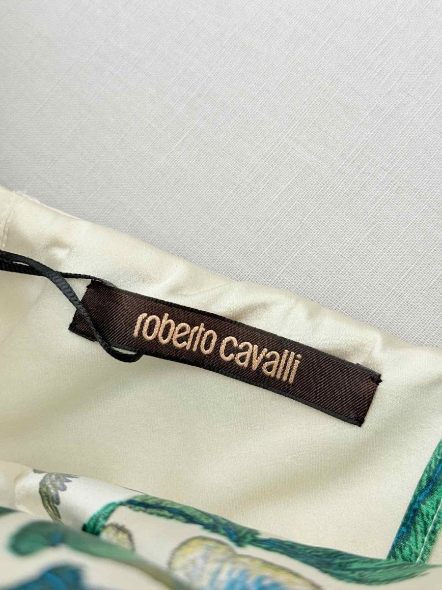 Pre - loved ROBERTO CAVALLI Drop Waist Floral Size US 6 Long Dress at Reems Closet