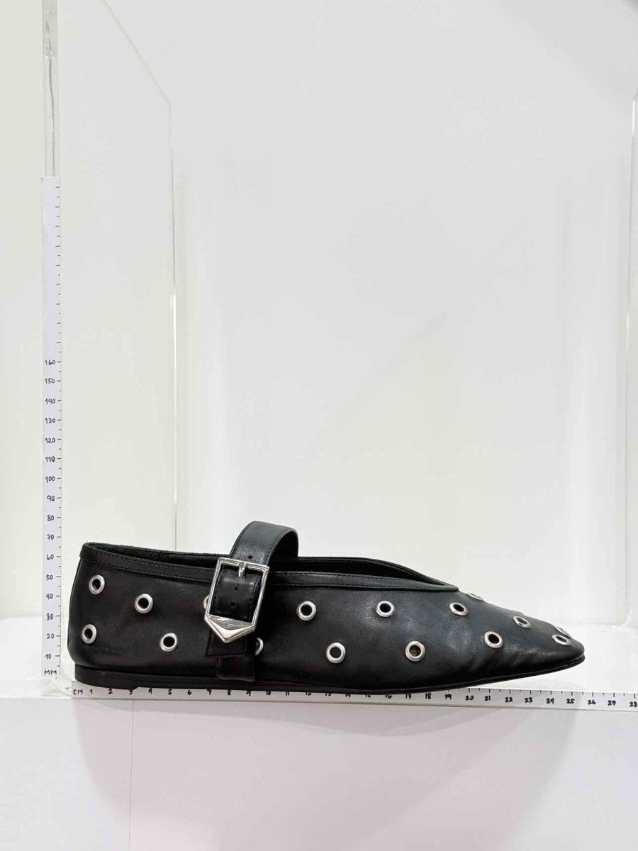 Pre-loved SCHUTZ Cool Ballerina Black Size EU 38 Flats at Reems Closet