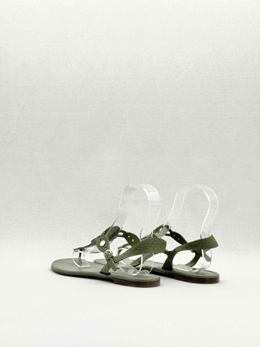 Pre - loved SERGIO ROSSI Thong Green Size EU 39 Sandals at Reems Closet