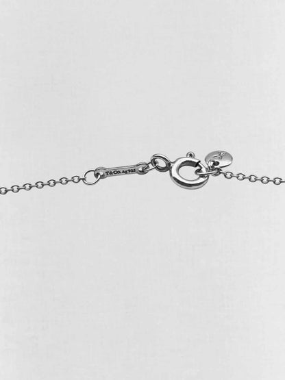 Pre - loved TIFFANY & CO Paloma Picasso 2pcs Set Silver at Reems Closet