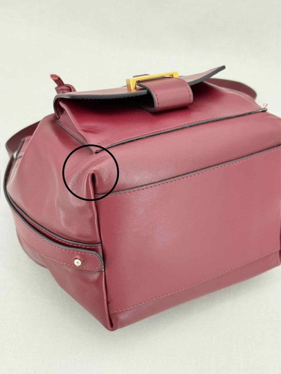 Pre - loved VISONE Burgundy Bucket Bag at Reems Closet