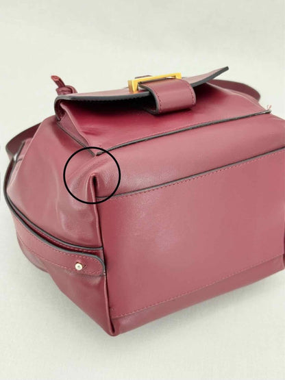 Pre - loved VISONE Burgundy Bucket Bag at Reems Closet