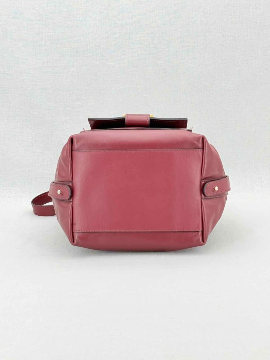 Pre - loved VISONE Burgundy Bucket Bag at Reems Closet